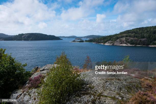 islands in an archipelago, view from the island of orust, vaestra goetaland county, bohuslaen, sweden - västra götaland county bildbanksfoton och bilder