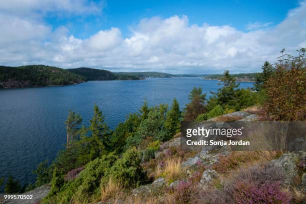 islands in an archipelago, view from the island of orust, vaestra goetaland county, bohuslaen, sweden - västra götaland county stock pictures, royalty-free photos & images