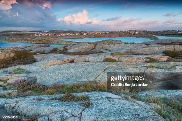 rocks, evening atmosphere at the coast, near smoegen, bohuslaen province, vaestra goetaland county, sweden - västra götaland county bildbanksfoton och bilder