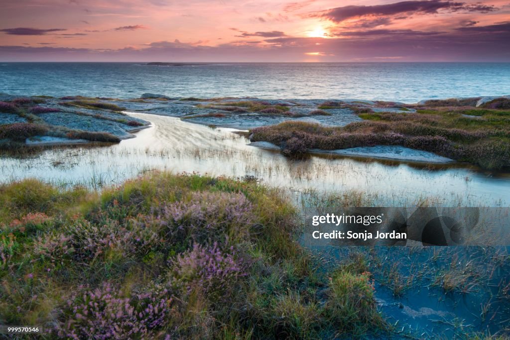 Sunset, evening atmosphere at the coastline near Smoegen, Bohuslaen province, Vaestra Goetaland County, Sweden