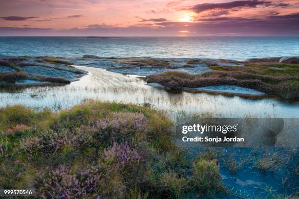 sunset, evening atmosphere at the coastline near smoegen, bohuslaen province, vaestra goetaland county, sweden - contea västra götaland foto e immagini stock