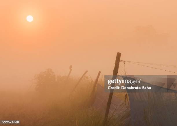 sunrise+mist - man mist beach stock-fotos und bilder