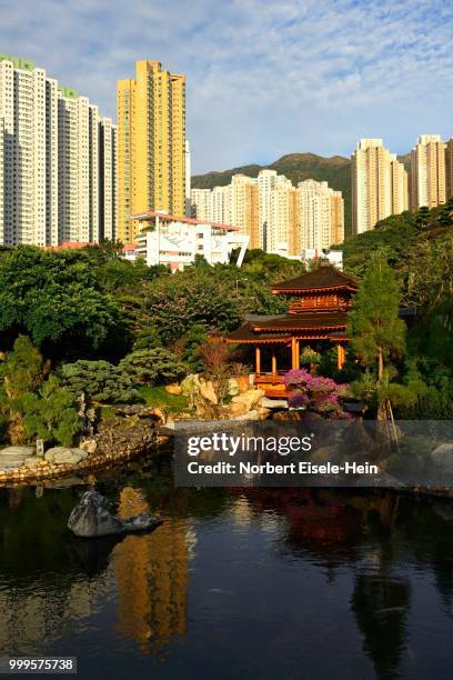 chi lin nunnery in front of skyscrapers, kowloon, hong kong, china - lin stock pictures, royalty-free photos & images