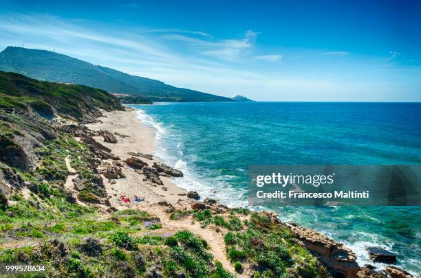 landscape of sardinian coast in spring - francesco stock pictures, royalty-free photos & images