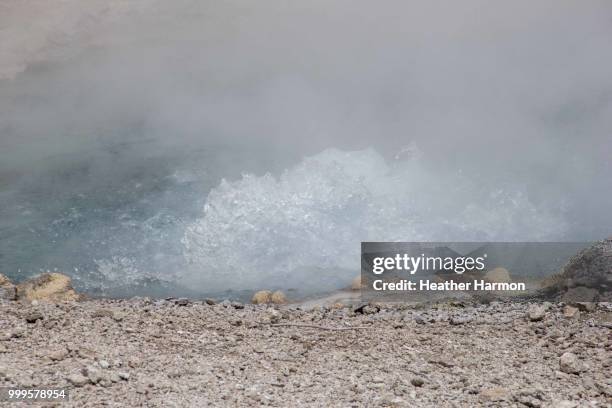 yellowstone geysers - heather harmon imagens e fotografias de stock