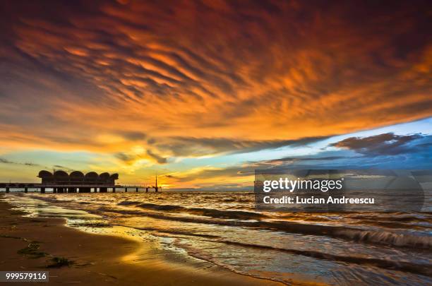 lignano - andreescu fotografías e imágenes de stock