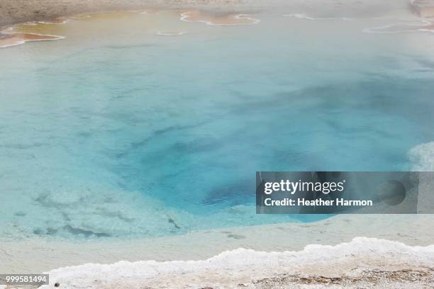 yellowstone geysers - heather harmon imagens e fotografias de stock