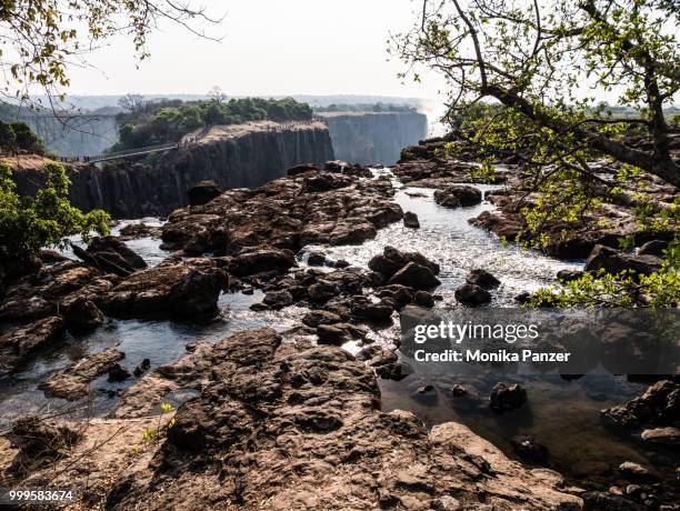 victoria falls - sambesi - sambesi stockfoto's en -beelden