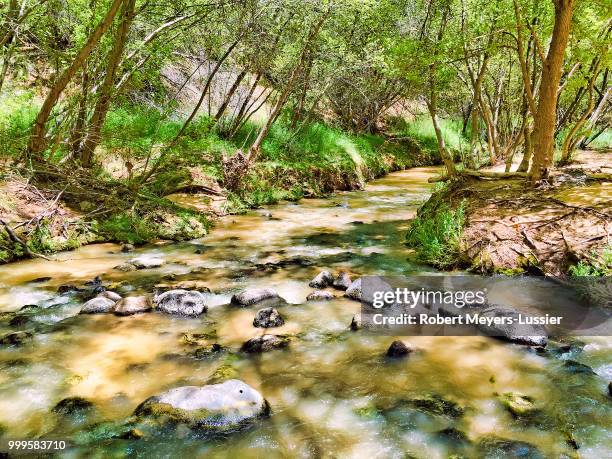 calf creek - meyers stock pictures, royalty-free photos & images