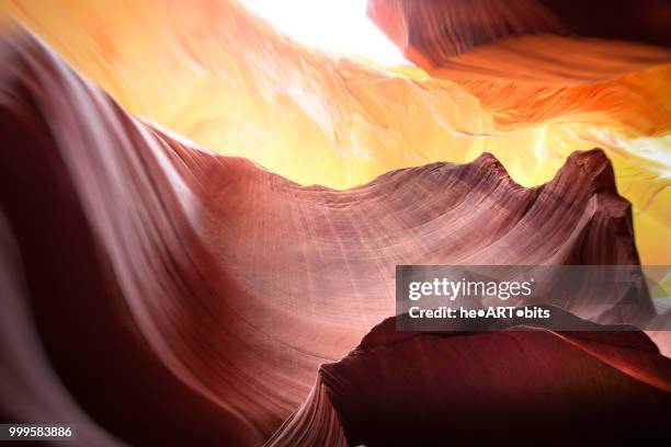 lower antelope - lower antelope stock pictures, royalty-free photos & images