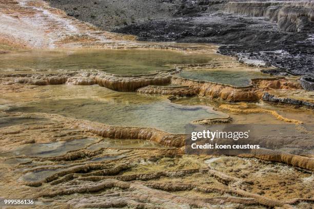 palette spring - yellowstone - koen stock pictures, royalty-free photos & images