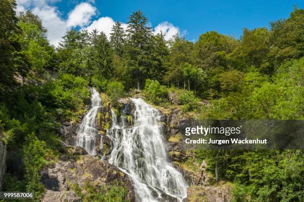 todtnau waterfalls, todtnau, black forest, baden-wuerttemberg, germany - jurgen stockfoto's en -beelden