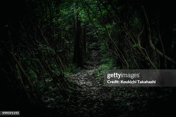 #refusing https://500px.com/photo/227354423/ - koukichi fotografías e imágenes de stock