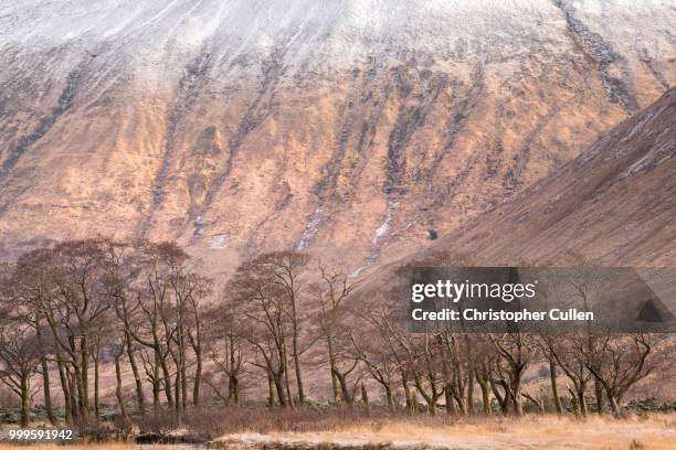 glen etive and beinn chaorach #2 - glen etive stockfoto's en -beelden