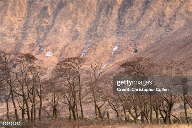 glen etive and beinn chaorach #3 - glen etive stockfoto's en -beelden