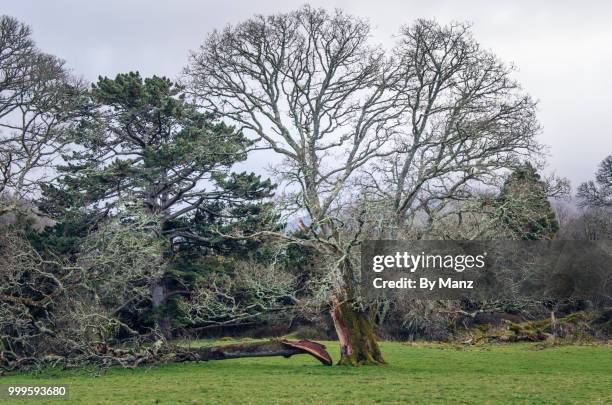 irlanda - irlanda stock-fotos und bilder