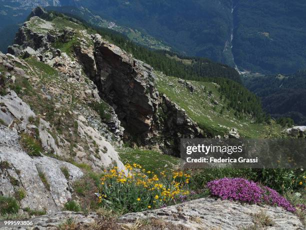 high-angle view of divedro valley from mount teggiolo - ヴェルバーノ・クジオ・オッソラ県 ストックフォトと画像