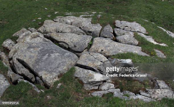 small limestone outcrop (lapiaz or karrenfeld) on monte teggiolo - ヴェルバーノ・クジオ・オッソラ県 ストックフォトと画像