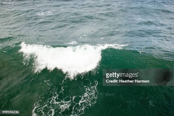 waves from pacific - heather storm stock pictures, royalty-free photos & images