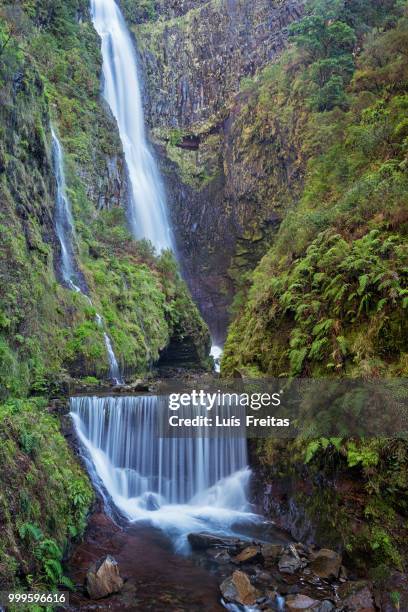 risco waterfall - risco stock pictures, royalty-free photos & images