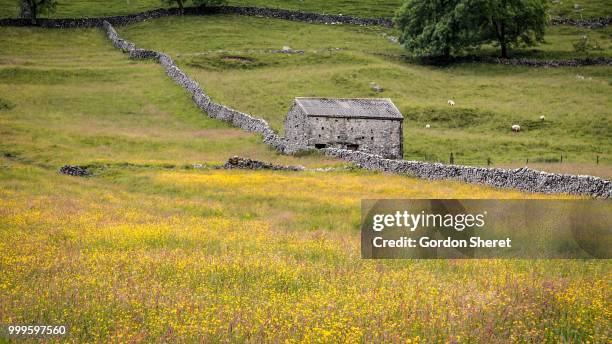 barn in field - gordon stock pictures, royalty-free photos & images