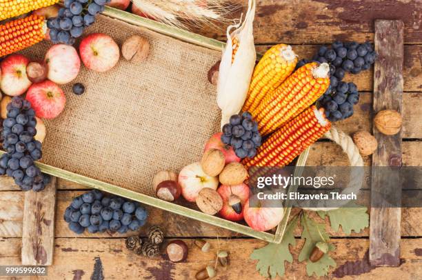 thanksgiving day: tray of different vegetables - maíz criollo fotografías e imágenes de stock