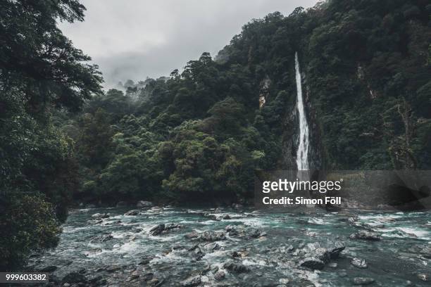 thunder creek falls - westland isla del sur de nueva zelanda fotografías e imágenes de stock