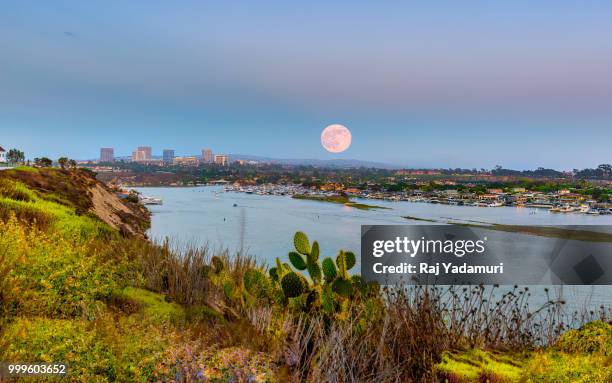moon rise over the newport harbor - raj stock pictures, royalty-free photos & images