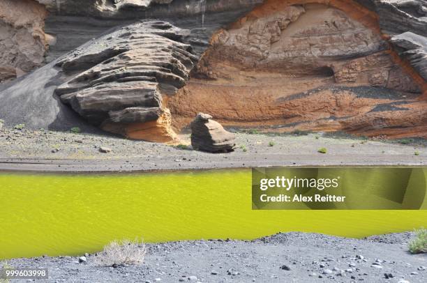 yellow sulphur water at el gordo, lanzarote - gordo stock-fotos und bilder