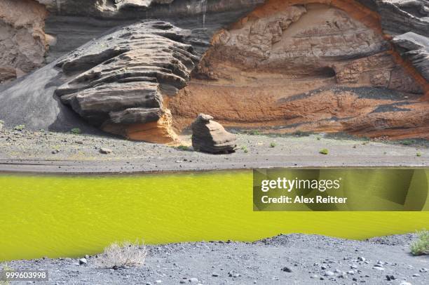 yellow sulphur water at el gordo, lanzarote - gordo 個照片及圖片檔