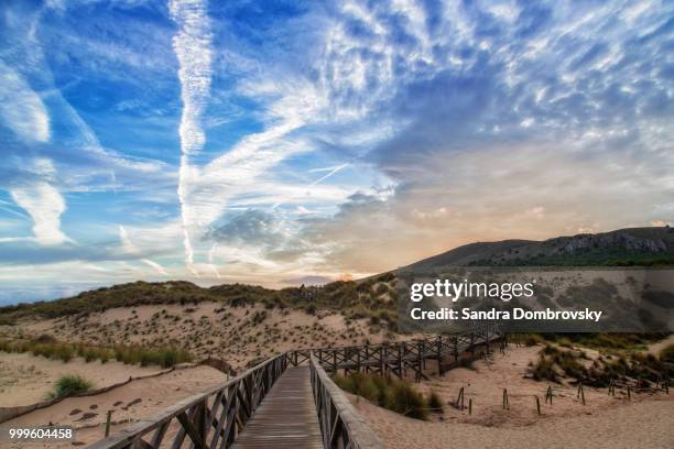 dunes of cala mesquida in mallorca with blue sky - cala stock pictures, royalty-free photos & images