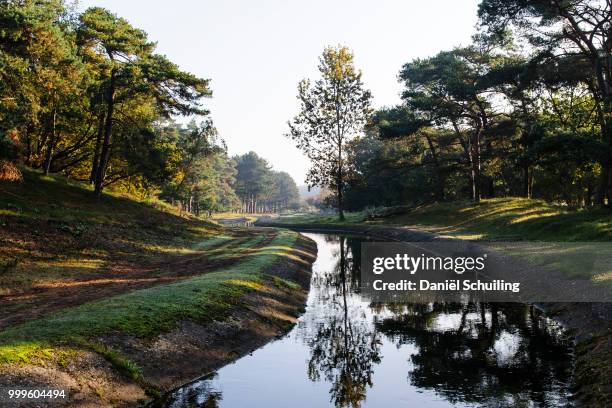 amsterdamse waterleiding duinen - duinen stock pictures, royalty-free photos & images