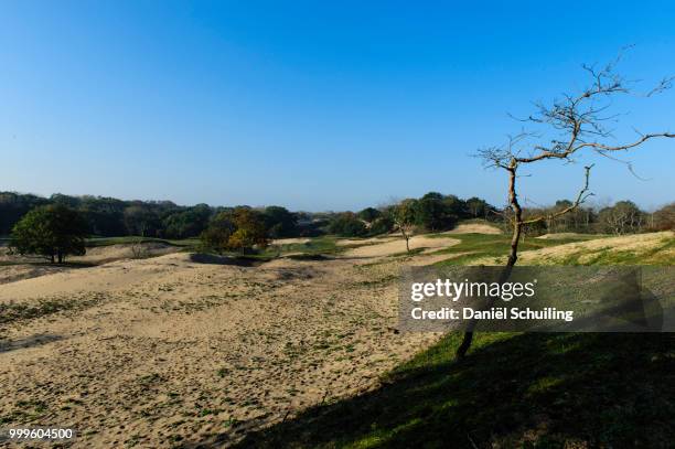 amsterdamse waterleiding duinen - duinen stock pictures, royalty-free photos & images
