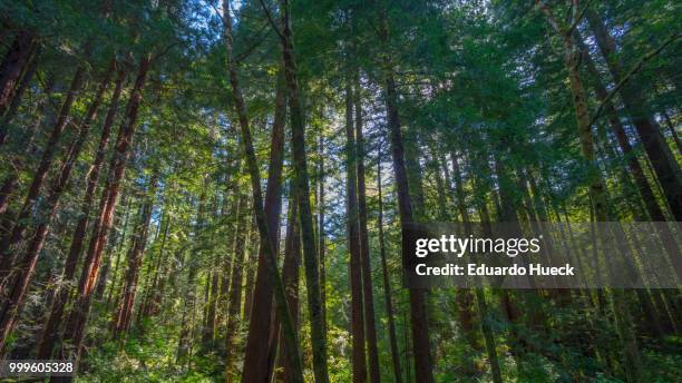 Calcot Green 804 Cal Green Stock Photos, High-Res Pictures, and Images - Getty Images