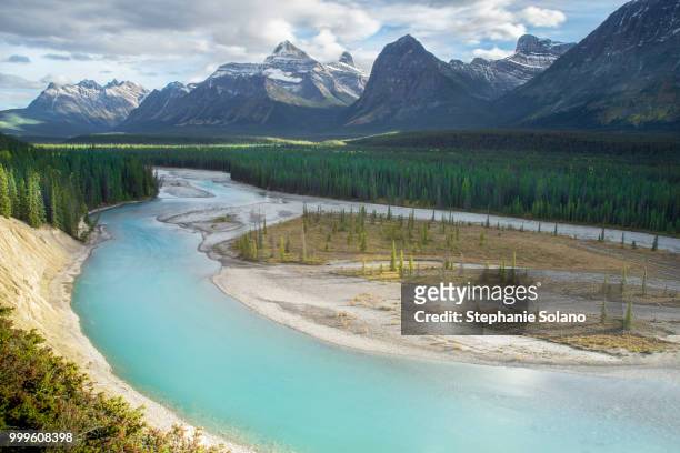 camino athabasca falls - caminho stock pictures, royalty-free photos & images