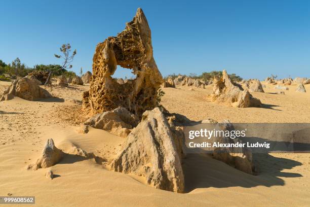 nambung national park, western australia - ludwig stock pictures, royalty-free photos & images