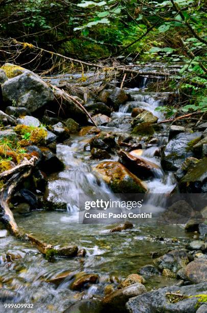 day 18 - some creek waterfall in val monzoni - val foto e immagini stock
