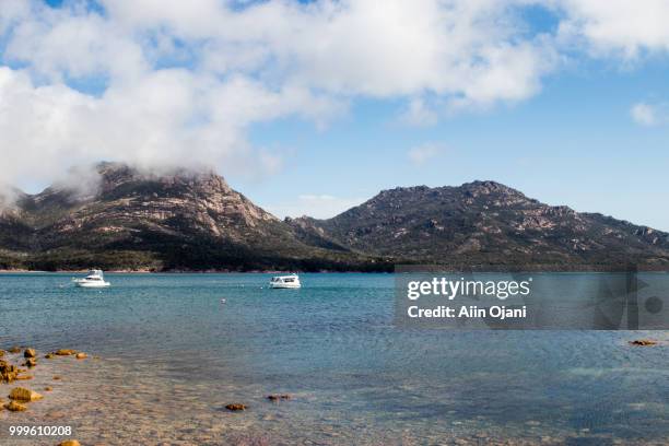 coles bay 2 - coles stock pictures, royalty-free photos & images