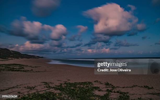 the blue hour at chongoene-moz - oliveira stock pictures, royalty-free photos & images