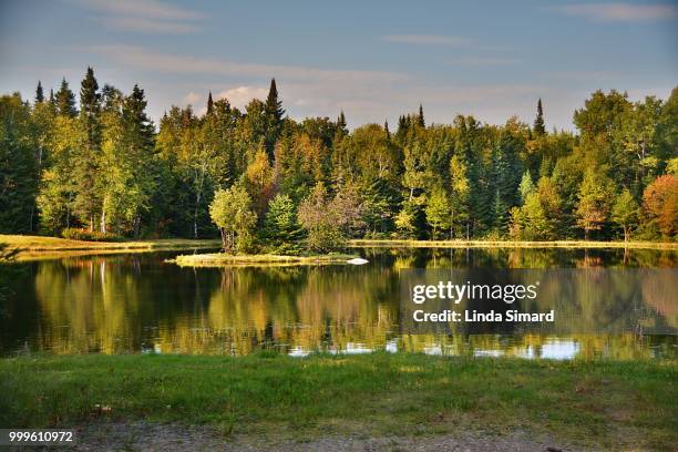 miroir de la nature - miroir stock pictures, royalty-free photos & images