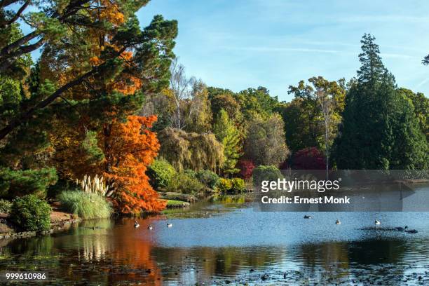 shades of autumn - ernest stock pictures, royalty-free photos & images