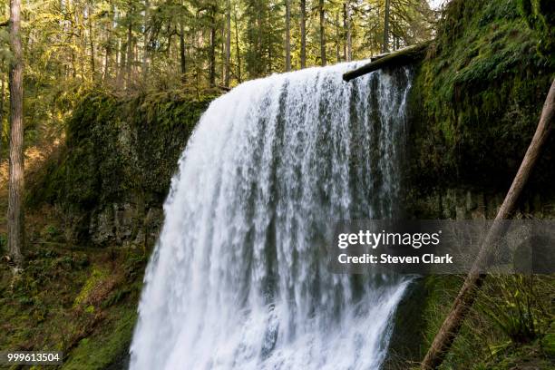 10,376 Clark Location Stock Photos, High-Res Pictures, and Images ...