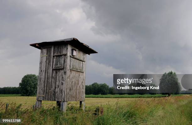 raised hide in front of storm clouds, tangstedt, schleswig-holstein, germany - sleeswijk holstein stockfoto's en -beelden