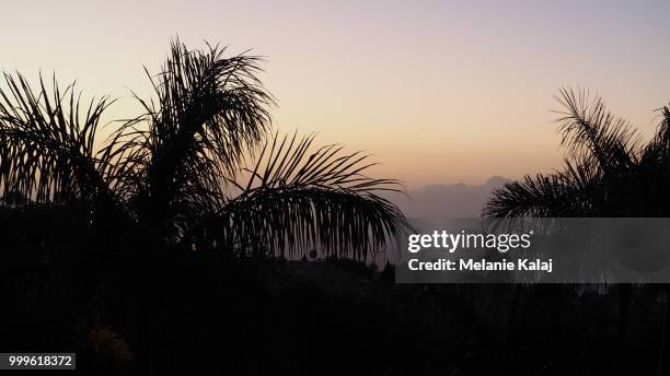 masca sonnenuntergang - sonnenuntergang fotografías e imágenes de stock