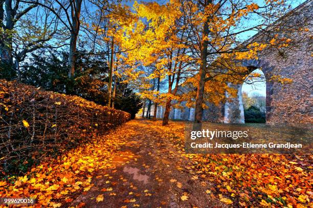 last leaves - west vlaanderen stockfoto's en -beelden