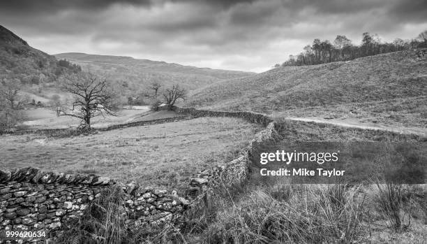 rydal - rydal stock pictures, royalty-free photos & images