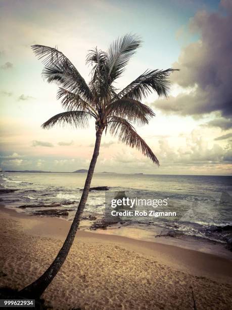 mooloolaba beach, queensland - mooloolaba stock-fotos und bilder