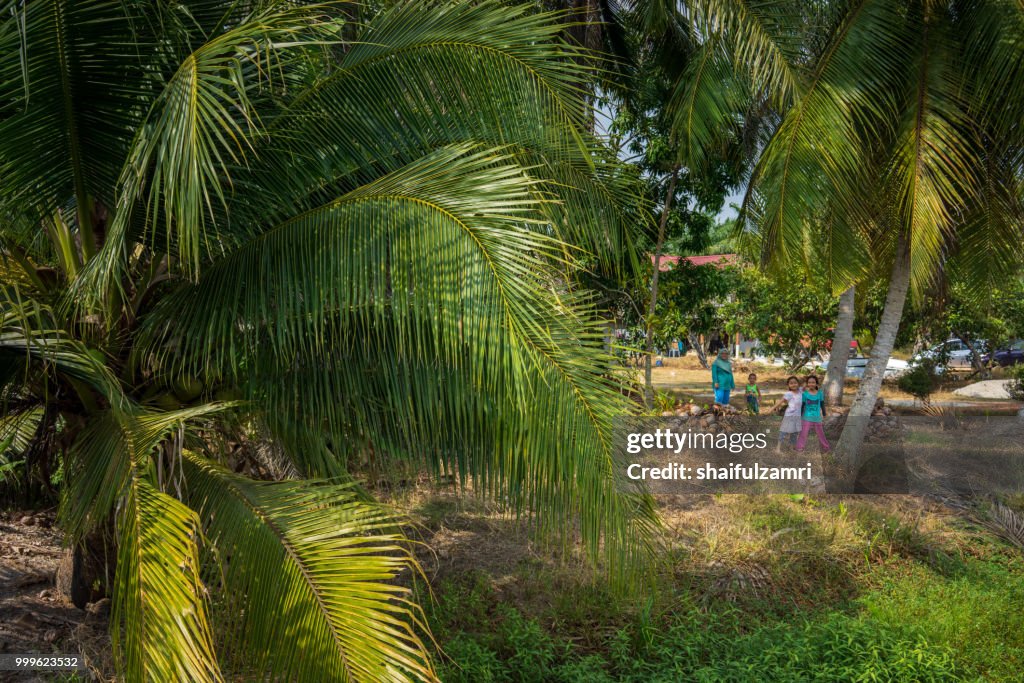 Happy family pose for camera during Eid-Fitri under coconut trees at Sabak Bernam, Malaysia