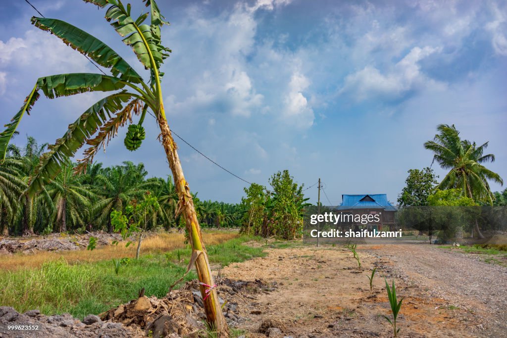 View of traditional wooden house at Sabak Bernam, Malaysia.