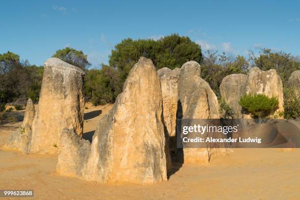 nambung national park, western australia - ludwig stock pictures, royalty-free photos & images